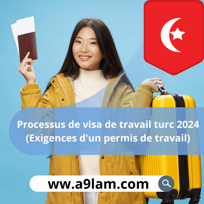 Processus de visa de travail turc 2024 (Exigences d'un permis de travail)