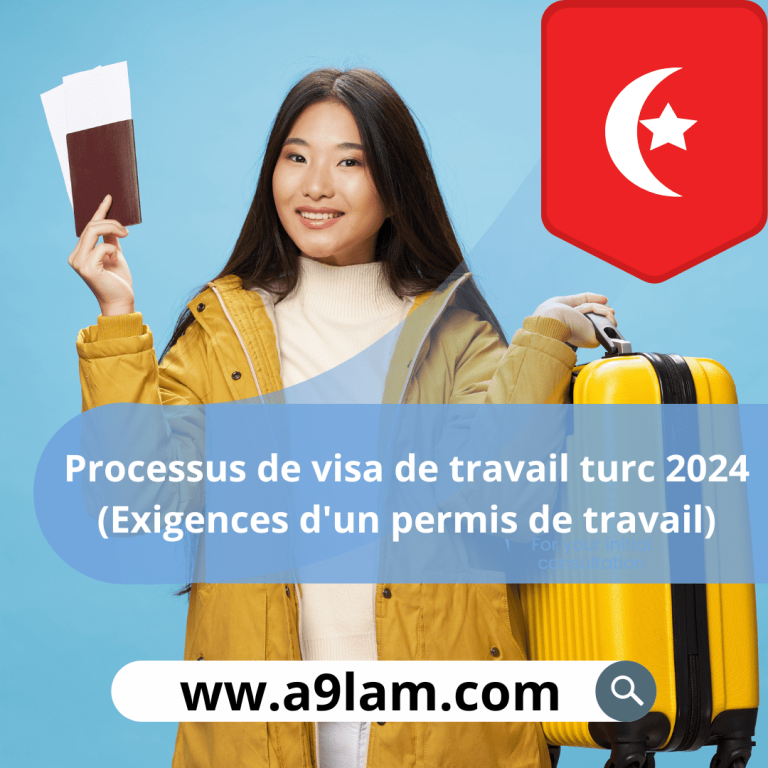 Processus de visa de travail turc 2024 (Exigences d’un permis de travail)